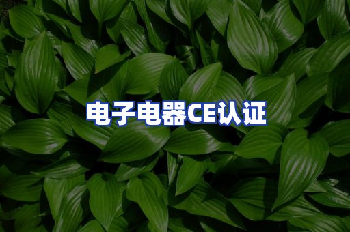 电子电器CE认证