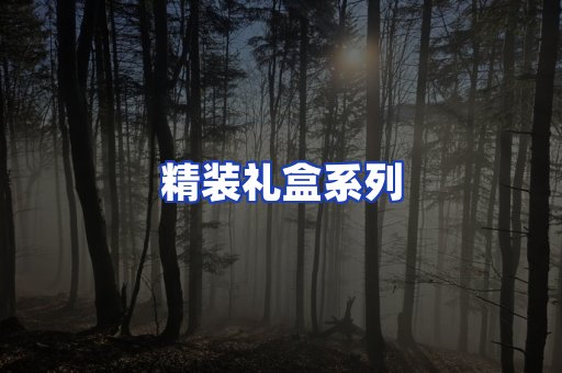 精装礼盒系列