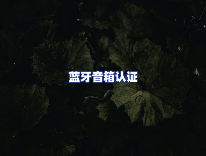 服务优势